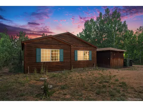 247 Anderson Rd, Bailey, CO 80421 photo 2