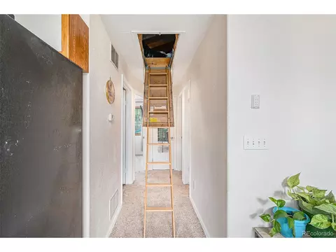 247 Anderson Rd, Bailey, CO 80421 photo 18