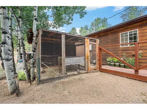 247 Anderson Rd, Bailey, CO 80421 photo 22