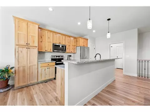 1631 Kit St, Windsor, CO 80550 photo 14
