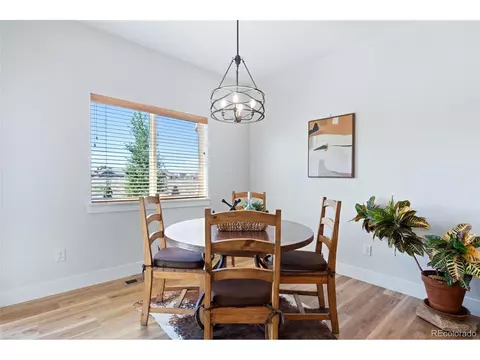 1631 Kit St, Windsor, CO 80550 photo 19