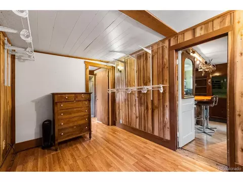 28488 Cedar Ave, Pine, CO 80470 photo 24