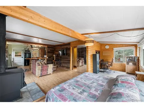 28488 Cedar Ave, Pine, CO 80470 photo 17