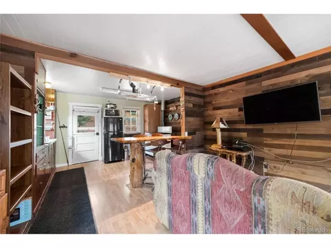 28488 Cedar Ave, Pine, CO 80470 photo 27