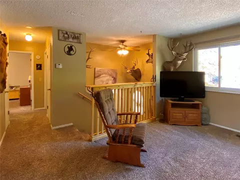 723 E Rio Blanco Ave, Rangely, CO 81648 photo 4