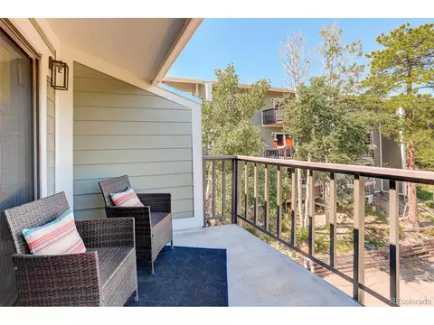 31270 John Wallace Rd #302, Evergreen, CO 80439