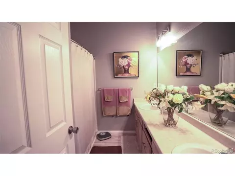 21458 E 51st Dr, Denver, CO 80249 photo 30
