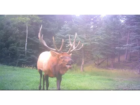 Undisclosed, Conifer, CO 80433 photo 12