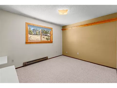 237 Homestead Rd, Bailey, CO 80421 photo 21