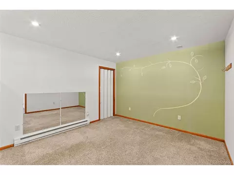 237 Homestead Rd, Bailey, CO 80421 photo 29