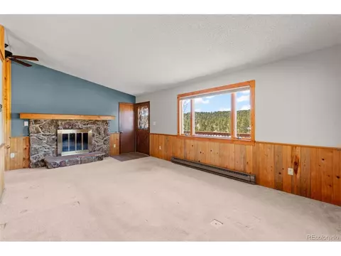 237 Homestead Rd, Bailey, CO 80421 photo 12