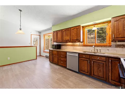 237 Homestead Rd, Bailey, CO 80421 photo 16