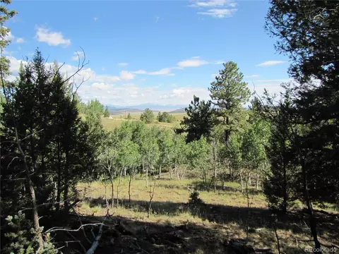 3010 Campfire Rd, Hartsel, CO 80449