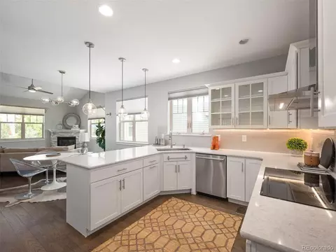 8734 E 29th Pl, Denver, CO 80238 photo 15