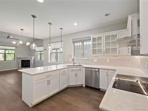 8734 E 29th Pl, Denver, CO 80238 photo 16