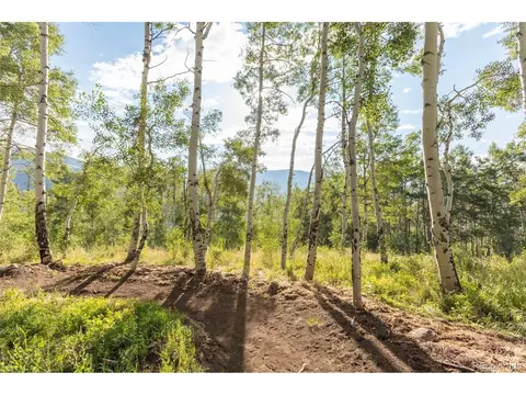 70 E Baron Way, Silverthorne, CO 80498 photo 15