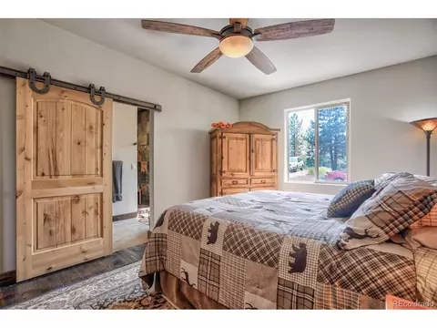 313 County Rd 85, Guffey, CO 80820 photo 30