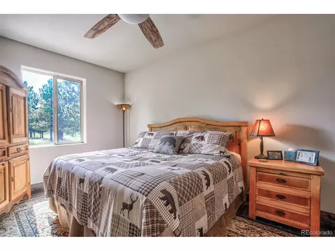 313 County Rd 85, Guffey, CO 80820 photo 29