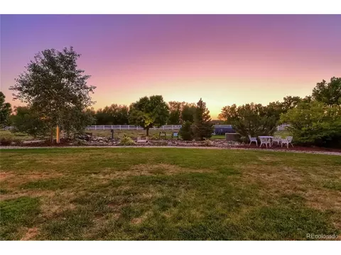 24727 E 154th Cir, Brighton, CO 80603 photo 7