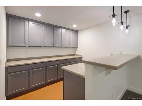 10109 E 28th Ave, Denver, CO 80238 photo 38