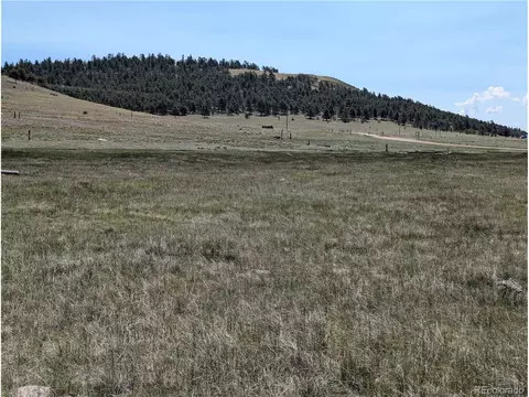 Co-9, Hartsel, CO 80449 photo 20