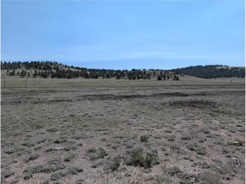 Co-9, Hartsel, CO 80449 photo 4