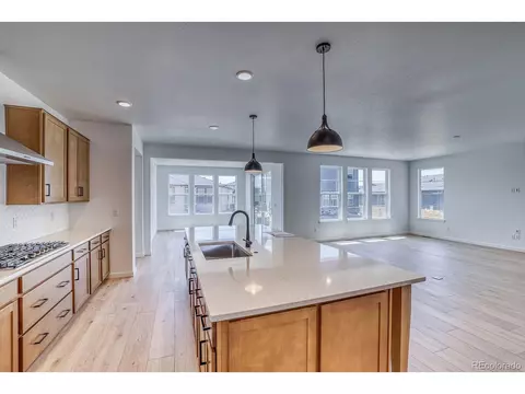 23738 E 42nd Ave, Aurora, CO 80019 photo 6