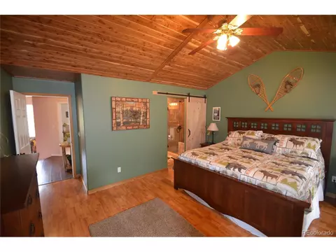 588 Black Bear Dr, Divide, CO 80814 photo 10