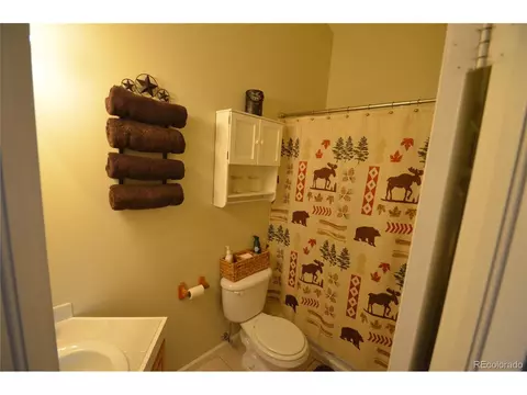 588 Black Bear Dr, Divide, CO 80814 photo 8