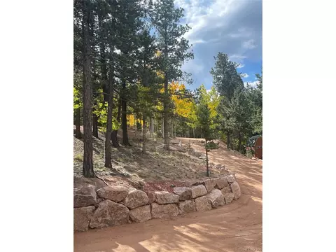 588 Black Bear Dr, Divide, CO 80814 photo 32