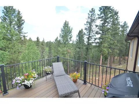 588 Black Bear Dr, Divide, CO 80814 photo 14
