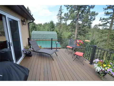 588 Black Bear Dr, Divide, CO 80814 photo 15
