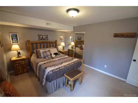 588 Black Bear Dr, Divide, CO 80814 photo 21