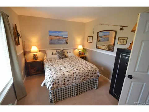 588 Black Bear Dr, Divide, CO 80814 photo 13
