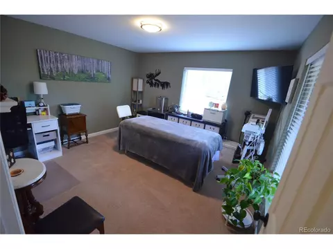 588 Black Bear Dr, Divide, CO 80814 photo 22