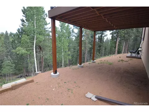 588 Black Bear Dr, Divide, CO 80814 photo 25