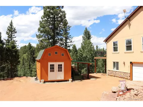 588 Black Bear Dr, Divide, CO 80814 photo 4