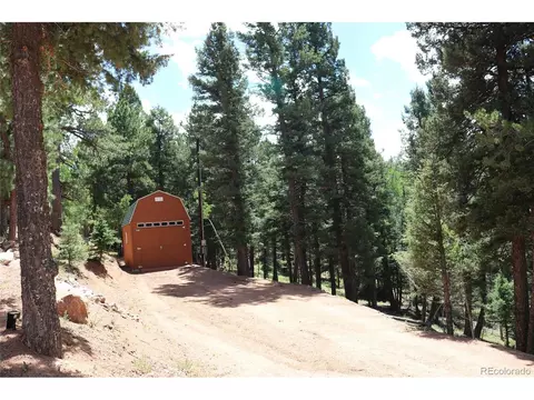 588 Black Bear Dr, Divide, CO 80814 photo 27