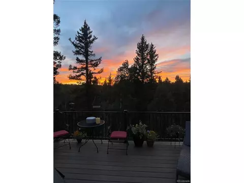 588 Black Bear Dr, Divide, CO 80814 photo 26