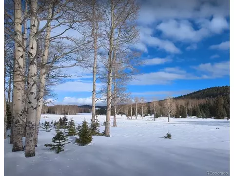 3104 Mcmearty Pl, Fort Garland, CO 81133