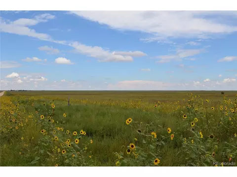 6 County Rd 2, Rush, CO 80833 photo 5