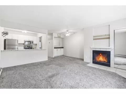 532 Oakwood Dr #D105, Castle Rock, CO 80104