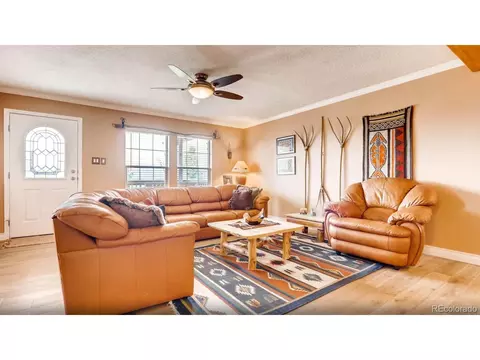 1184 Bonell Dr, Fairplay, CO 80440 photo 5
