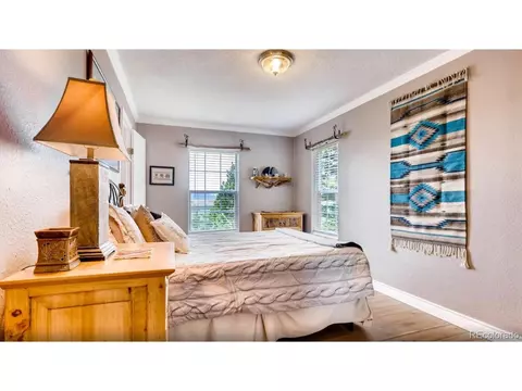 1184 Bonell Dr, Fairplay, CO 80440 photo 15