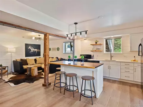810 Tincup Ter, Bailey, CO 80421 photo 24