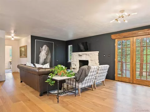 810 Tincup Ter, Bailey, CO 80421 photo 8