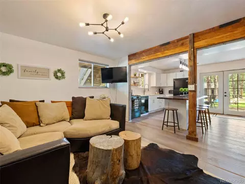 810 Tincup Ter, Bailey, CO 80421 photo 26