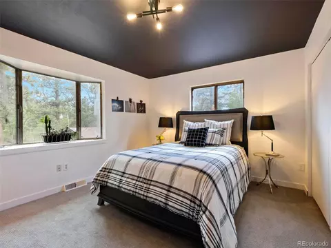 810 Tincup Ter, Bailey, CO 80421 photo 15