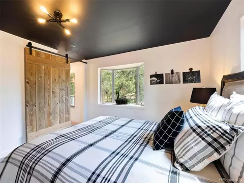 810 Tincup Ter, Bailey, CO 80421 photo 16