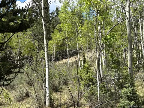 113 Ithaca Ln, Como, CO 80432 photo 5